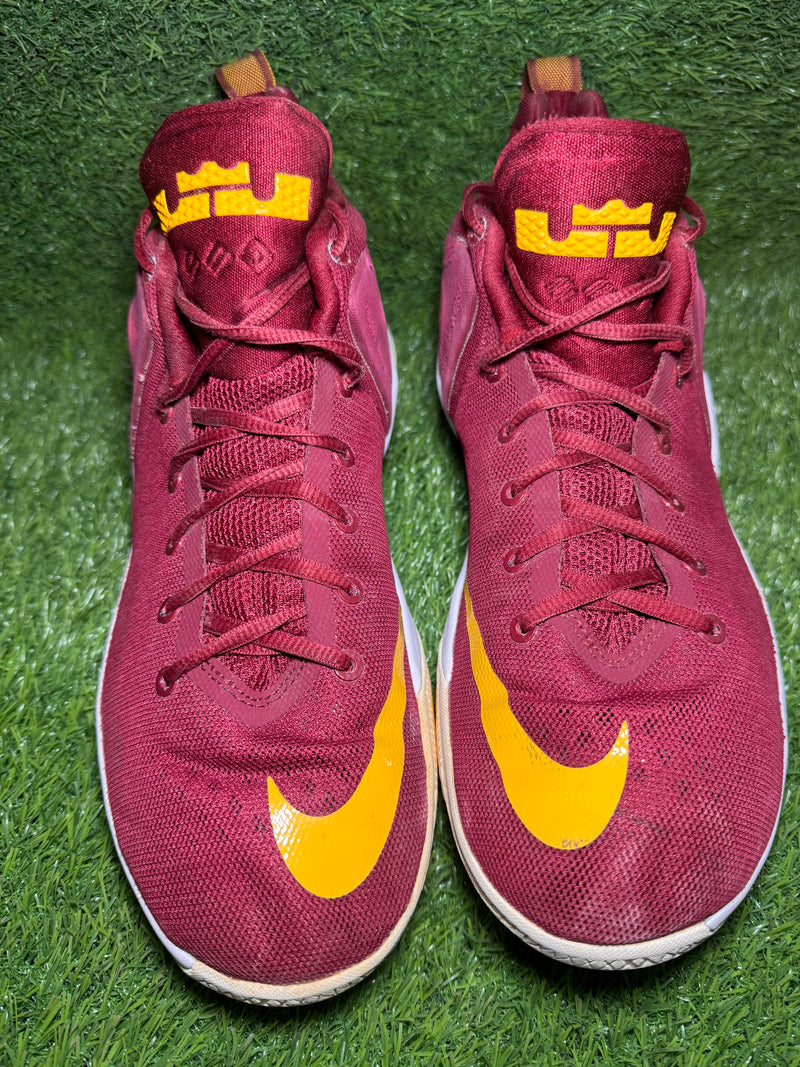 Nike LeBron Zoom Witness