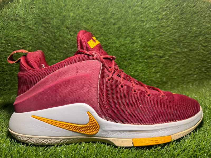 Nike LeBron Zoom Witness