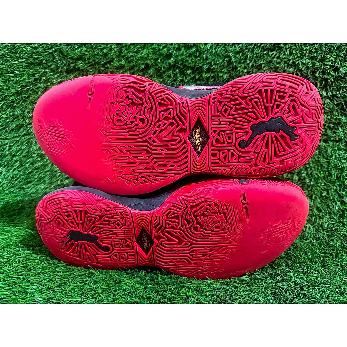 Nike Cortez 19